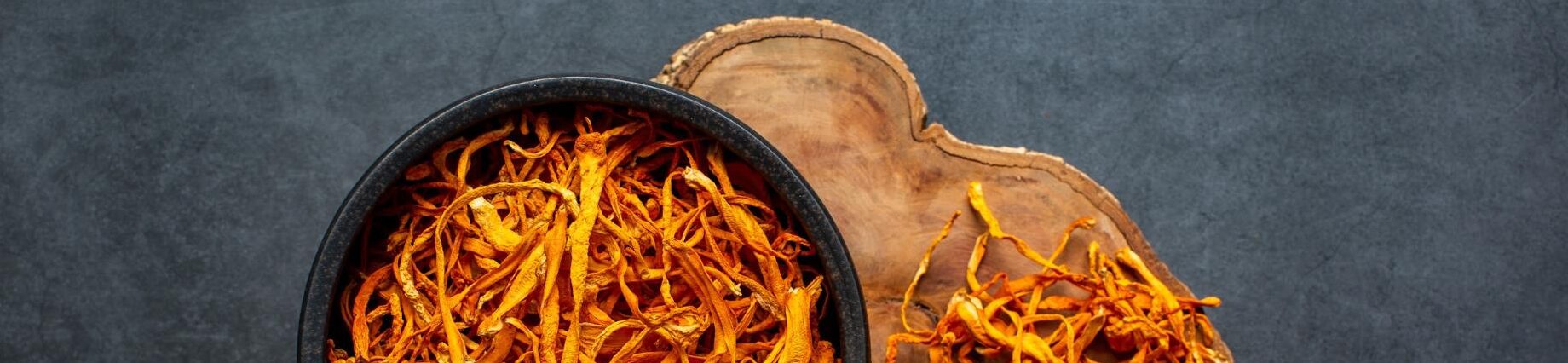 cordyceps mushrooms cordyceps mushrooms in bowl