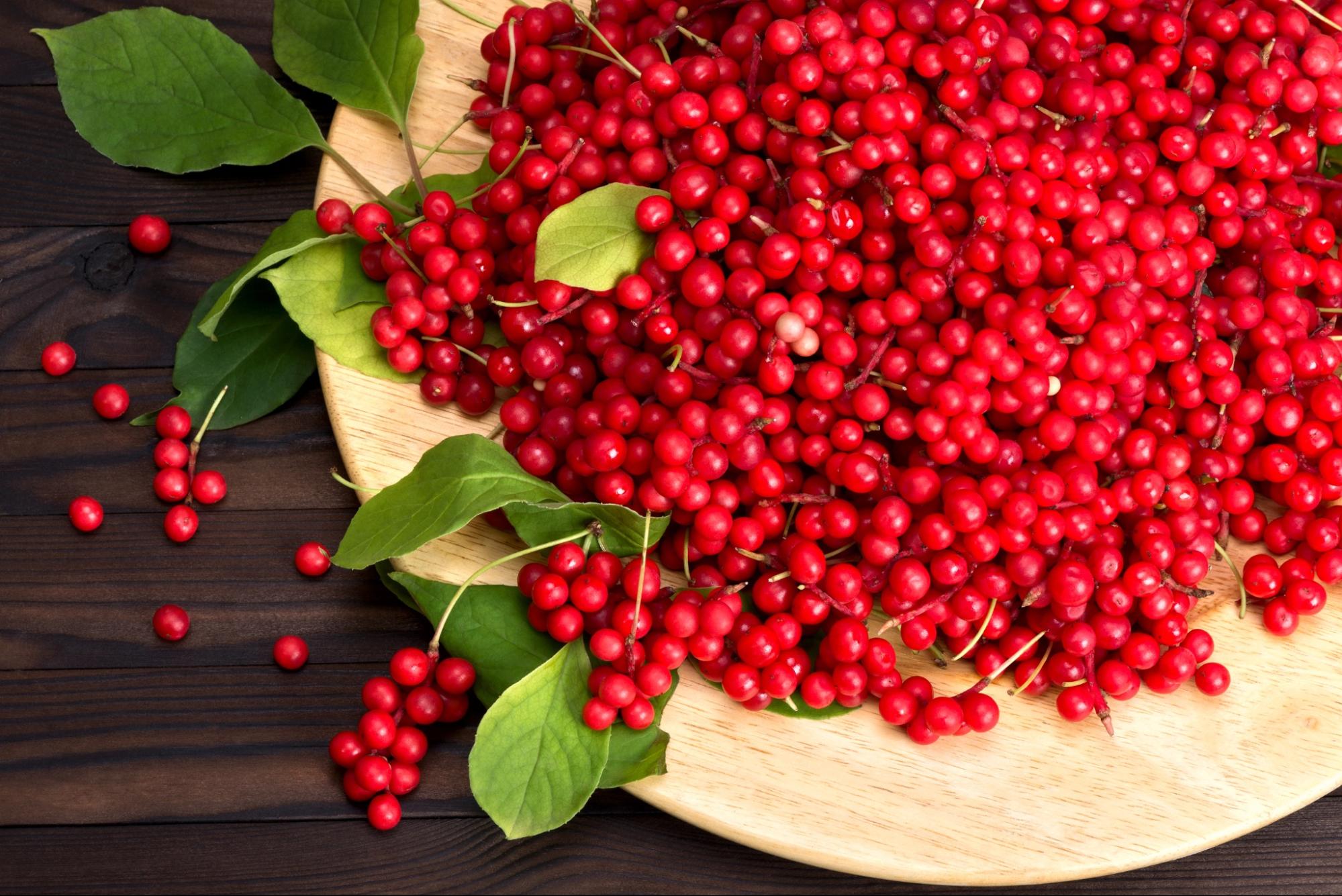 schisandra berries