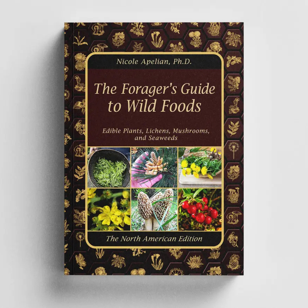 The Holistic Guide to Wellness