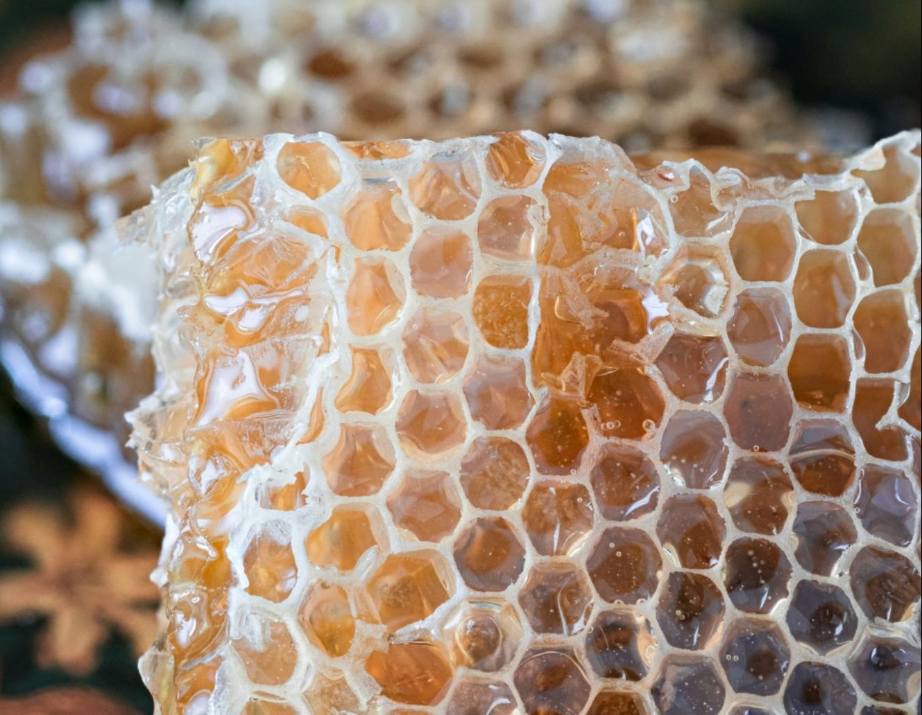 closeup of honey-drenched honeycomb
