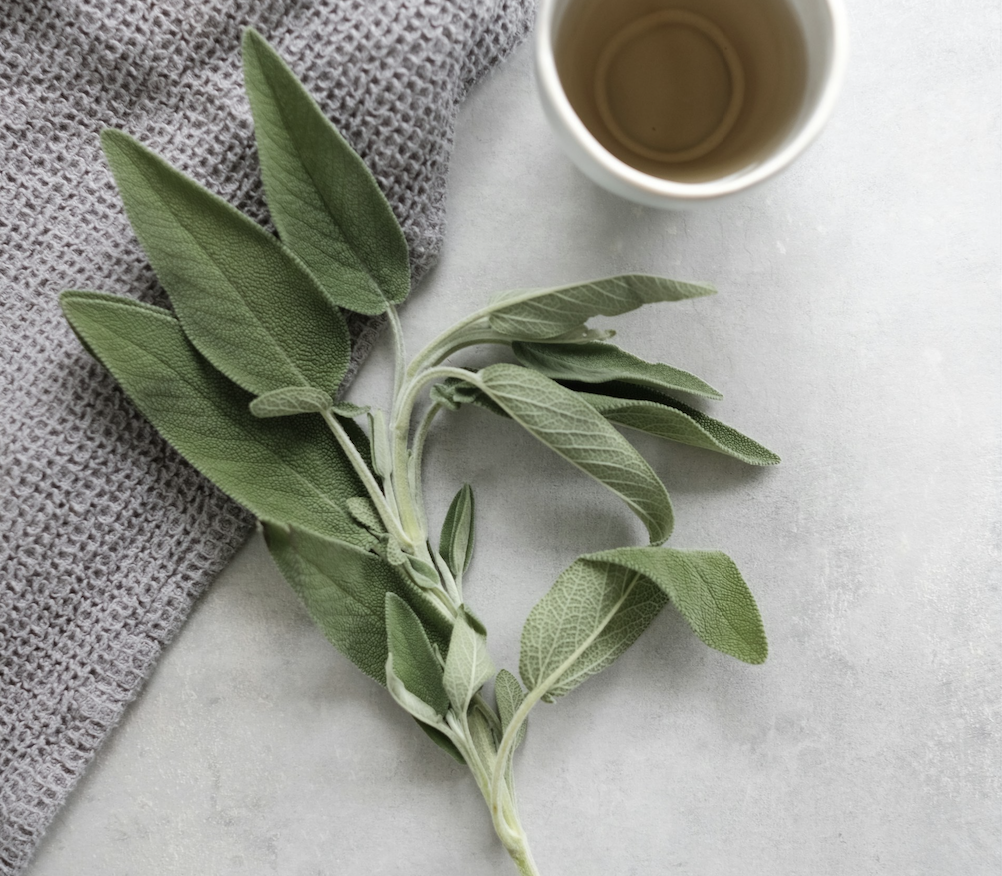 sprig of sage leaves next to mug of tea