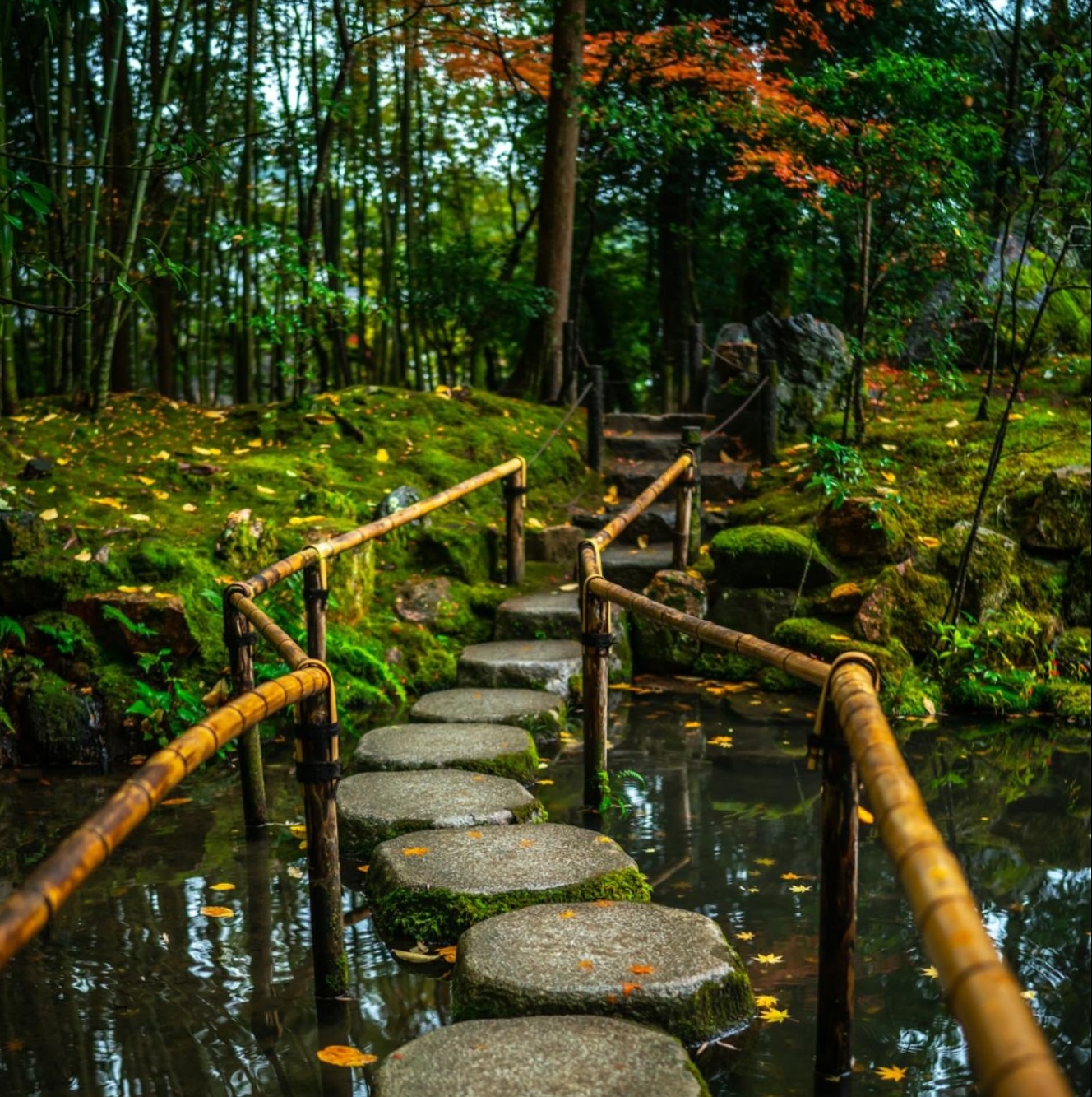 stone path across creek stone path across creek