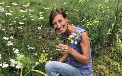 Could Yarrow Slow MS Progression? Study Says Yes.