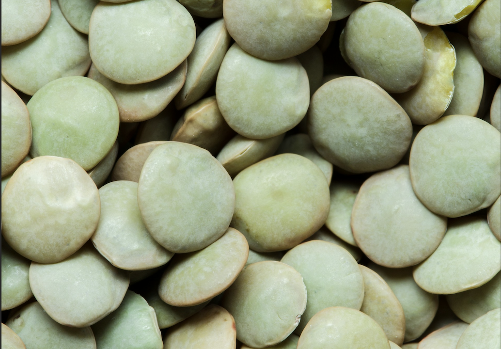 dried lima beans