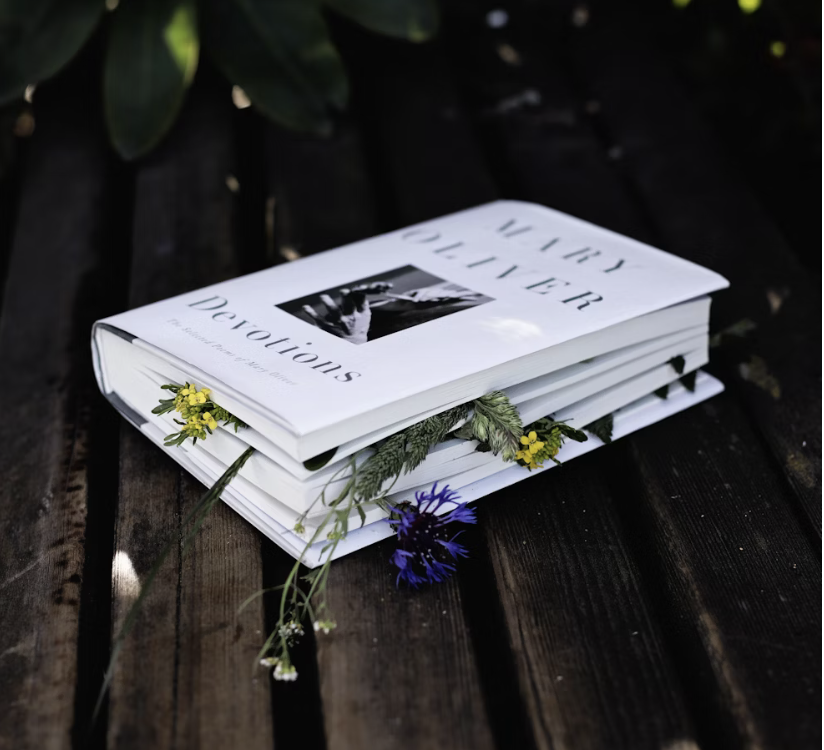 mary oliver book pressing flowers