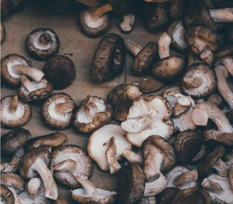 mushrooms on a cutting board