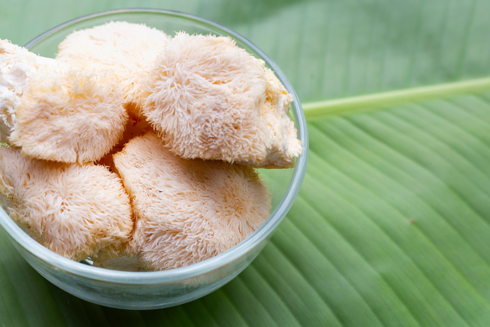 bowl of lion's mane mushrooms on a banana leaf