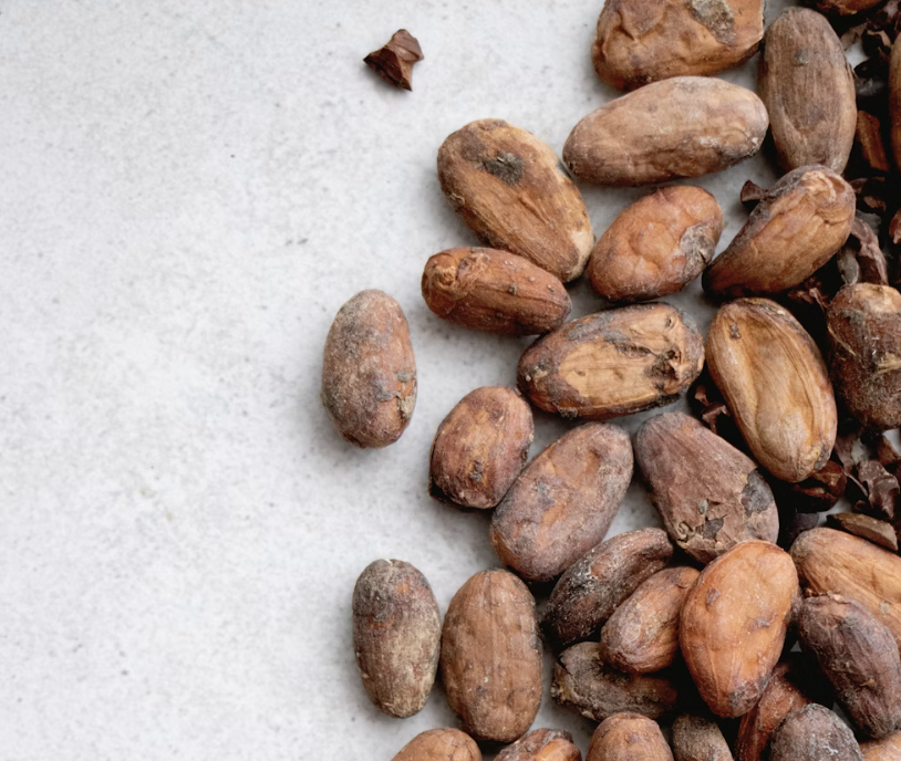 cocoa beans