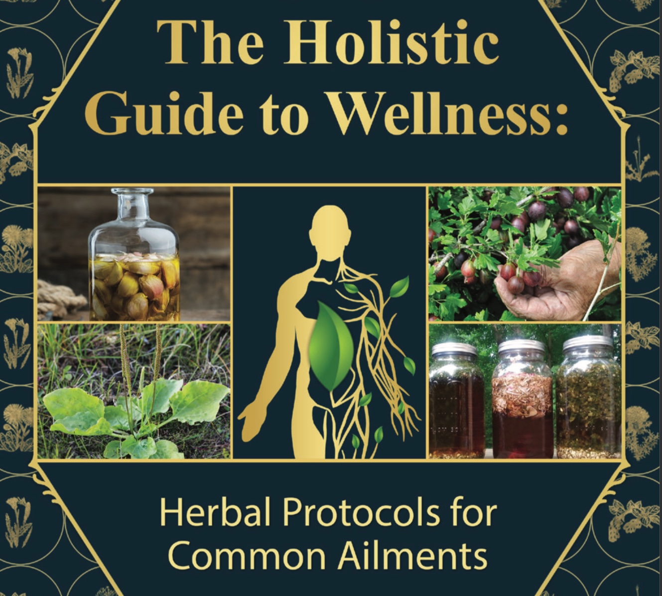 The Holistic Guide to Wellness by Nicole Apelian