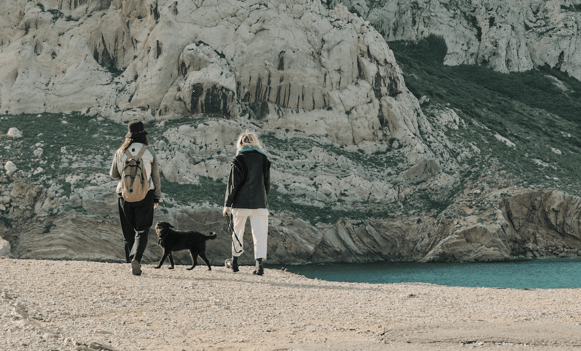 walking dog on beach