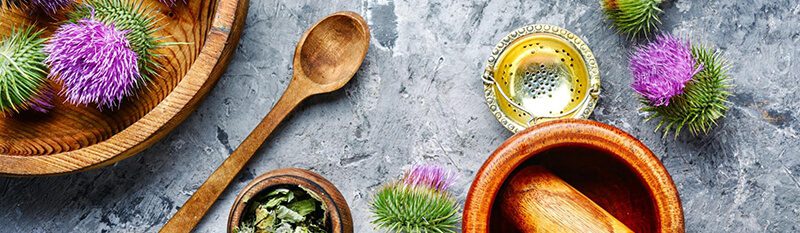 milk thistle liver health