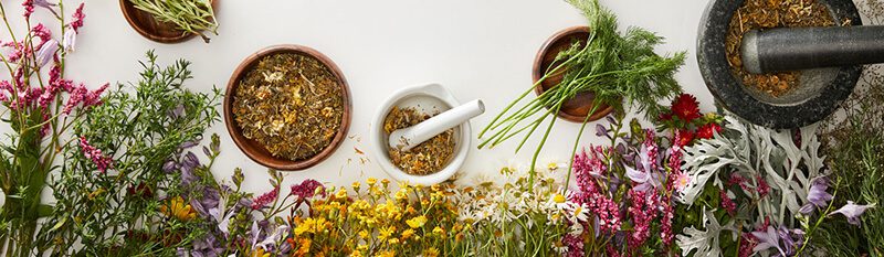herbal remedies boneset